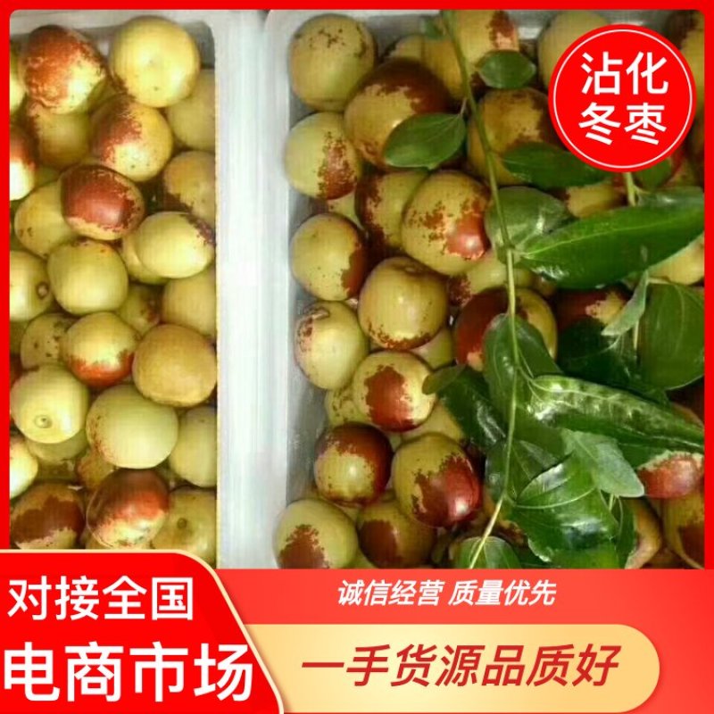 精品沾化冬枣上市产地直发量大从优质量保证欢迎咨询