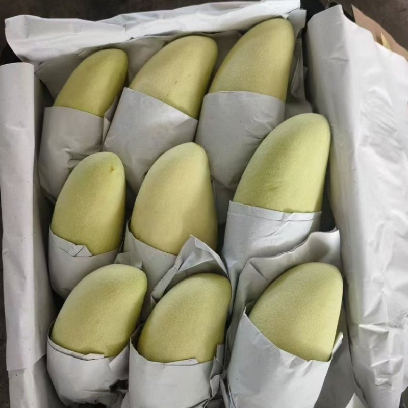 广西崇左金煌芒产地直发量大从优诚信合作欢迎来电咨询