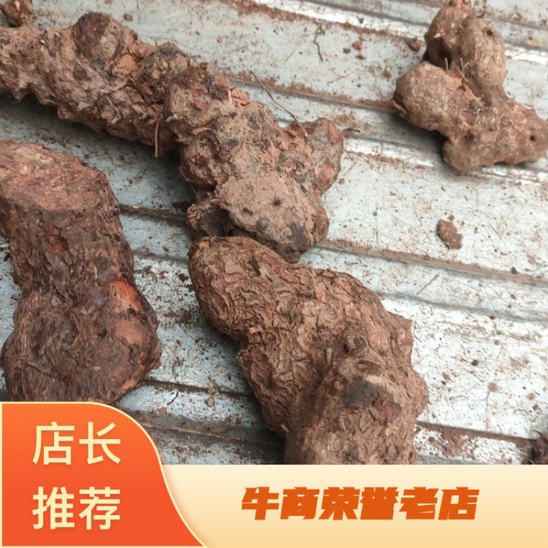 新鲜土茯苓，产地一手货源批发，可线下考察，欢迎来电咨询