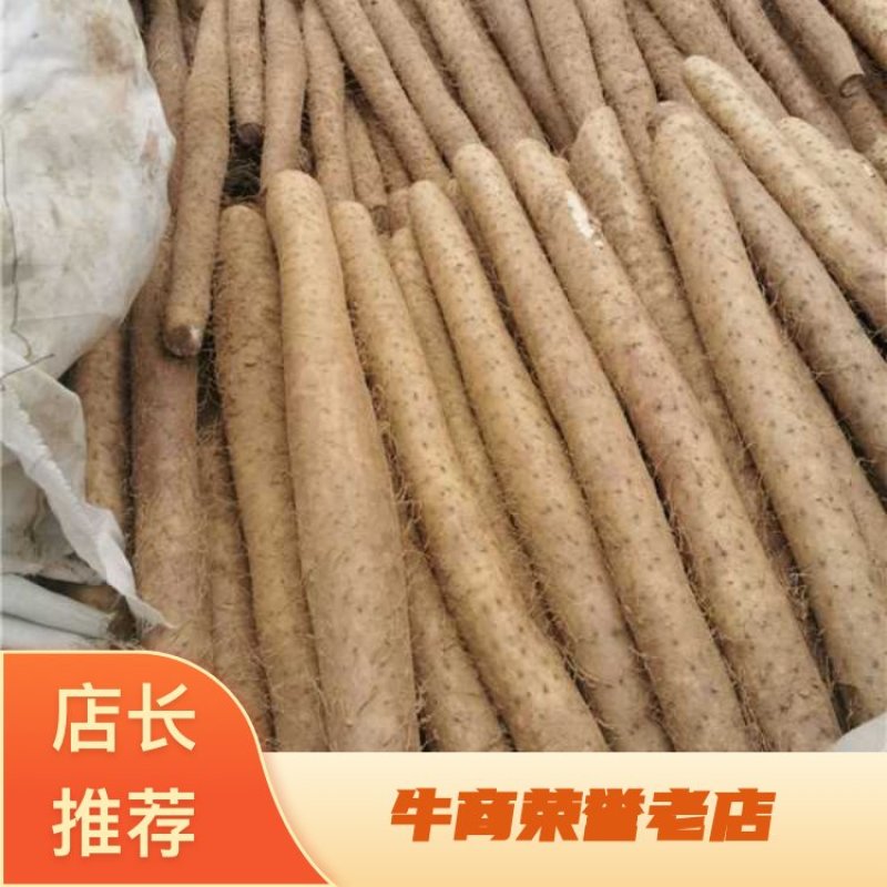 河北保定白玉山药/产地直发可长期供应对接电商市场超市