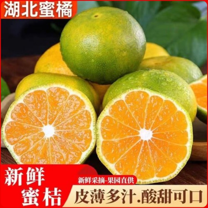 【代发全国】湖北宜昌蜜橘产地直供现摘现发欢迎来电洽谈