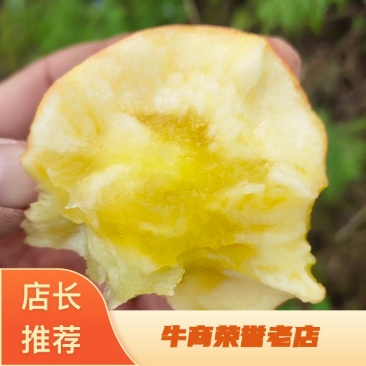【精选】大凉山盐源高山冰糖心丑苹果产地直供鲜货