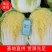 湖北白菜玲珑黄大吨位供应保质保量诚信发货