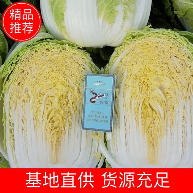 湖北白菜玲珑黄大吨位供应保质保量诚信发货