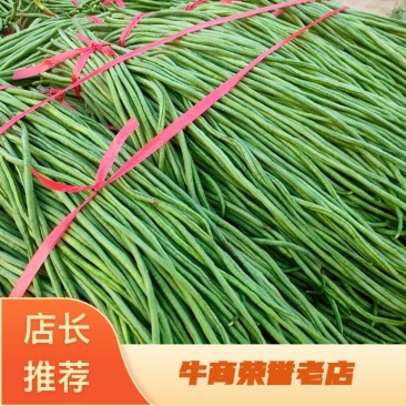 【热卖】长豆角聊城长豆角细长无斑点质量优量大从优