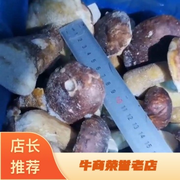 山东潍坊高密市食用菌工厂一手货源速冻美味牛肝菌全年有货