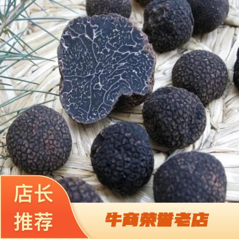 山东潍坊高密市一手货源各类菌菇齐全速冻黑松露可批发