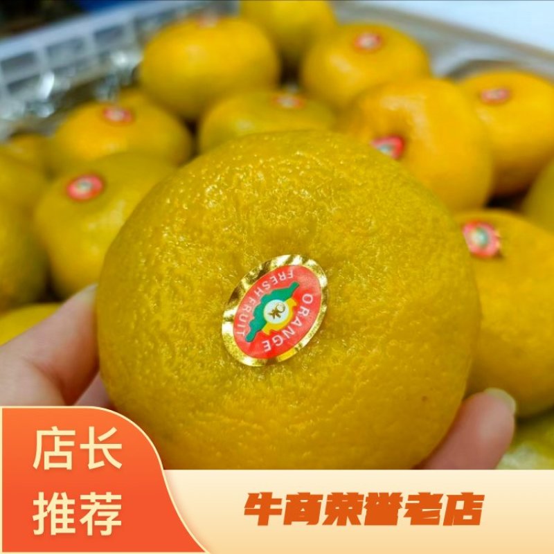 精品四川蜜橘保质保量诚信经营对接全国市场档口电商