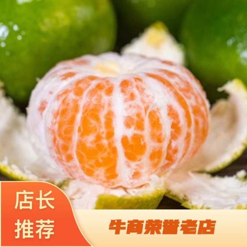 资阳特早蜜橘大量上市产地直发可视频看货欢迎咨询