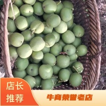 青皮核桃品质保证服务周到产地直发价格美丽