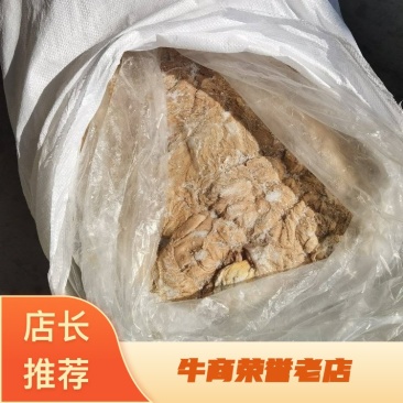 鲜马肠子