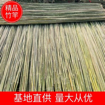 竹子产地直供支持批发和零售货源充足量大从优欢迎咨询