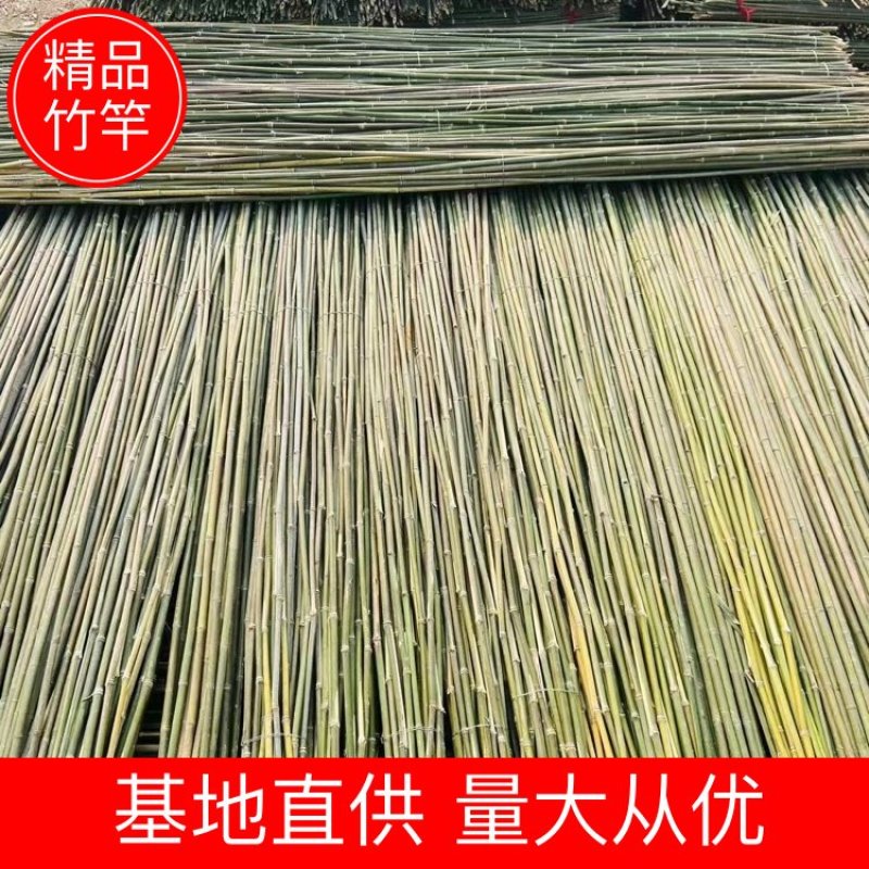 竹子产地直供支持批发和零售货源充足量大从优欢迎咨询