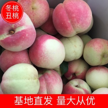 【山东冬桃】丑桃基地直发供应全国市场电商商超