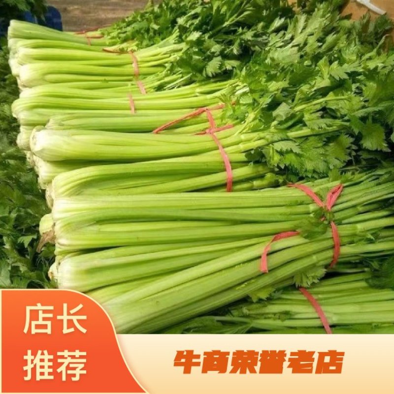 河北昌黎县芹菜新鲜上市对接各大市场商超平台欢迎选购