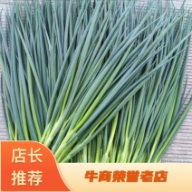 河北昌黎小香葱大量有货支持视频看货对接市场商超平台