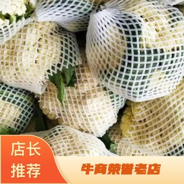 河北昌黎有机花菜大量有货常年供应市场商超平台合作愉快