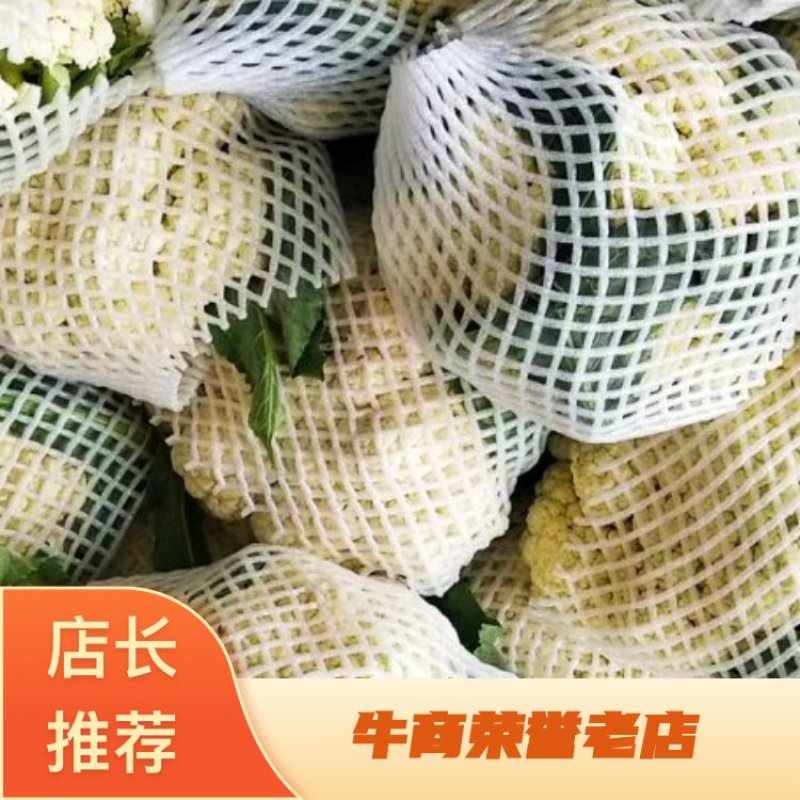 河北昌黎有机花菜大量有货常年供应市场商超平台合作愉快