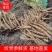 【党参】纹党参纹党鲜货基地直发供应全国市场欢迎咨询