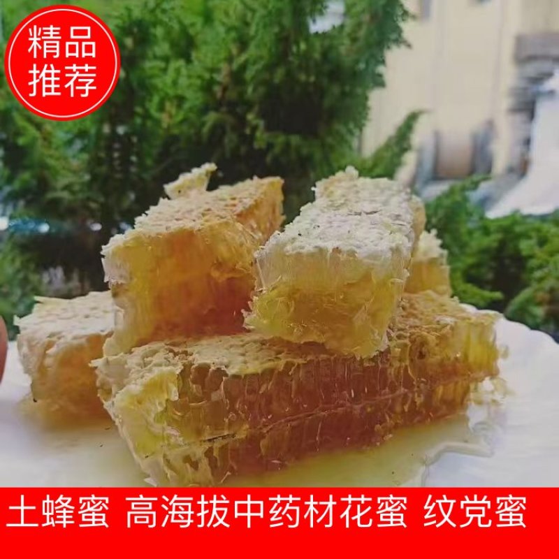 【土蜂蜜】纹党蜂蜜保障品质假一赔十量大从优欢迎咨询