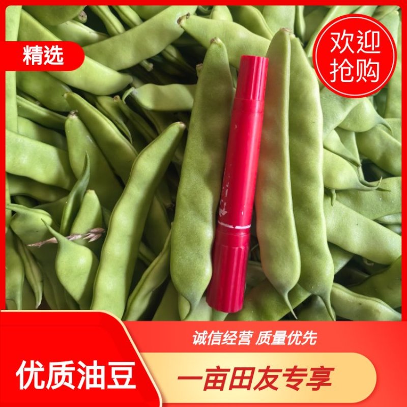 正宗云南油豆，品质优质，欢迎各大商超老板前来选购