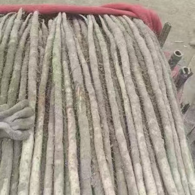 河南安阳紫玉淮山药大量接单产地直发量大从优欢迎来电