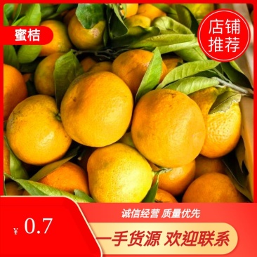 湖北蜜桔蜜橘橘子大量上市产地发货品质保证欢迎联系咨询
