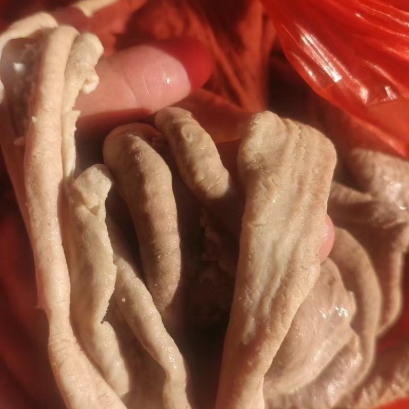 无水牛小肠一手货源价格实惠品质保障欢迎致电咨询