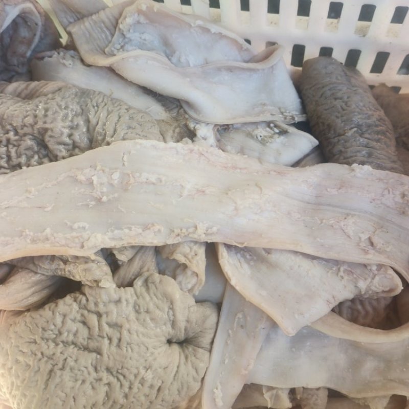 牛大肠伞带大量有货品质保证价格实惠全国发货