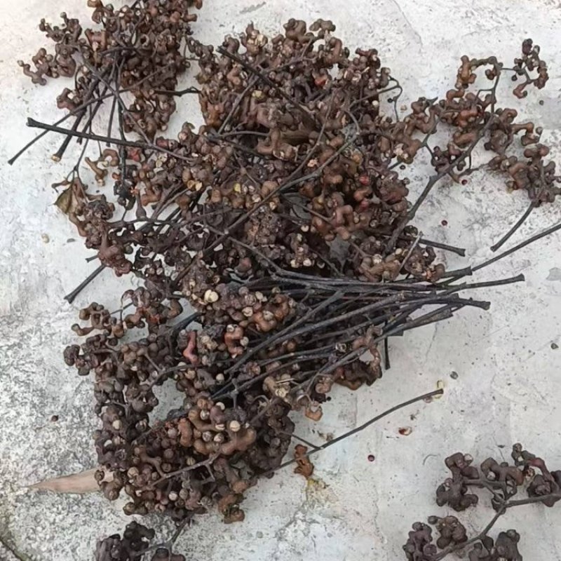 湖北荆门拐枣大量供应一手货源价格美丽欢迎下单
