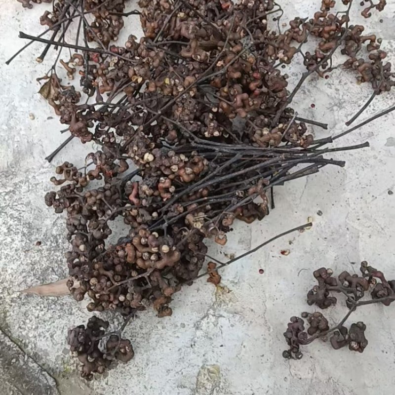 湖北荆门拐枣大量供应一手货源价格美丽欢迎下单