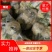 精品松花菜，大量有货代收，代发全国各地。