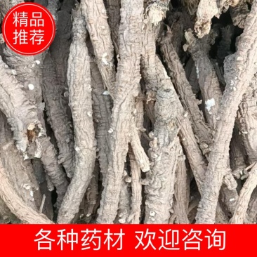 虎皮沙参精选货河北沙参各种药材批发高品质诚信