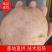 甘肃青薯九号，产地直发，价格合理，品种齐全，欢迎您来选购