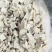 红薯丁红薯干量大质优价格优惠一手货源欢迎咨询采购