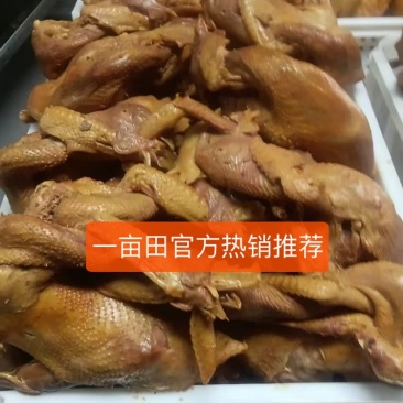 道口烧鸡,现杀现卤,保质保量,足斤足两,全国发货