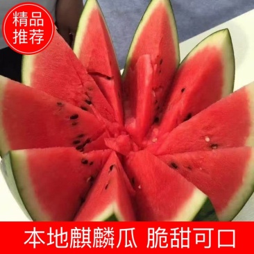 本地麒麟西瓜
