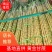 云南黄金甘蔗