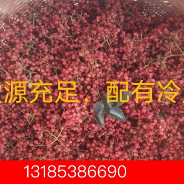 陕西大红袍鲜花椒！品质上乘，味道麻香！货源充足，价格合适
