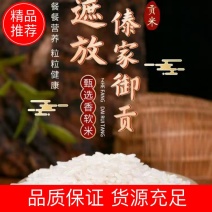 遮放贡米云南大米货源充足量大从优品质保证可视频看货