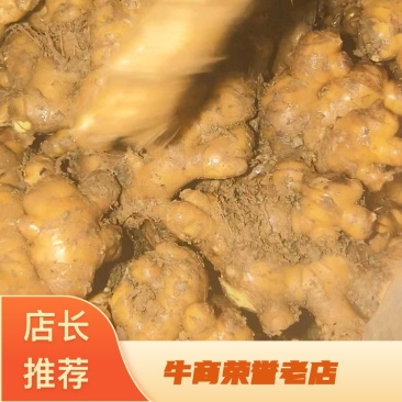麻鸭