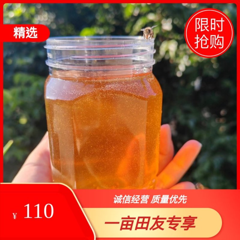 农家自酿土蜂蜜自然成熟封盖蜜源产地直发百花精华酿好蜜