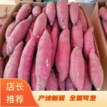红瑶蜜薯三八两