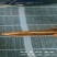 渤海湾草虾黑虾婆婆虾大量出货中，香辣虾，金钩米，海米原