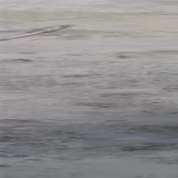 麻笋牛角笋