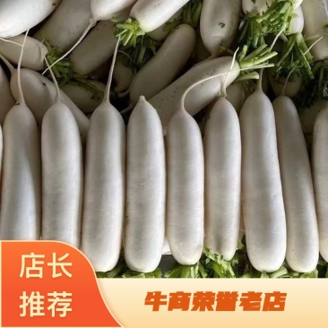 白萝卜大量有货品质优基地直供现挖现发可视频看货欢迎咨询来