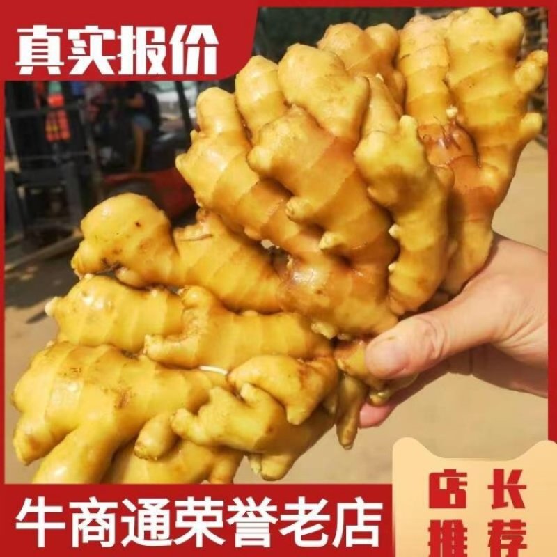 【生姜】小黄姜产地直销量大质优价格优惠欢迎老板采购