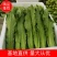 邯郸油麦菜源头供应正宗油麦菜电商供货对接市场商超欢迎致电