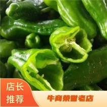 【推荐】精品苏椒大量有货，品质保证，可全国各地发货