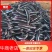 【推荐】紫长茄大量供应，货源充足，产地直发，欢迎采购